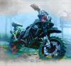 Image avatar-playstation-days-gone-drifter-bike-gratuite