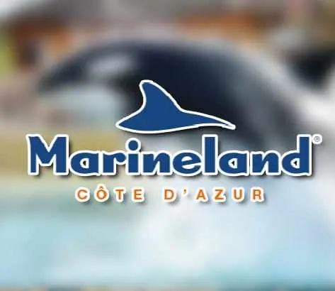 Image decouvrez-marineland-a-antibes-un-parc-aquatique-incontournable-sur-la-cote-dazur