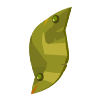 Image Cadeau Gratuit : Bouclier Trophée du Kimbo sur DOFUS