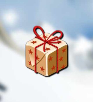 Image 1er Cadeau de Nowel Gratuit sur Dofus