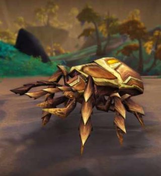 Image Familier Scarabée des Sables Gratuit sur World of Warcraft