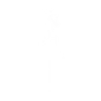 Image Emote Bonnes Ondes Gratuite sur Fortnite