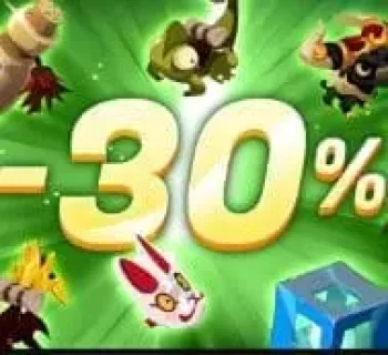 Image Réduction Boutique -30% Consommable Dofus Touch