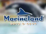 Image decouvrez-marineland-a-antibes-un-parc-aquatique-incontournable-sur-la-cote-dazur