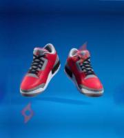 Image Récupère Chaussure Air Jordan 3 SE Unite Offerte sur Fortnite