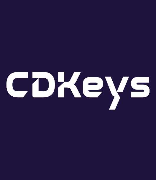 image sous-catégorie CDKeys
