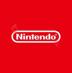 image sous-catégorie Nintendo